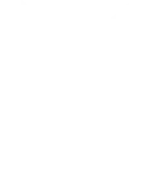Perplexity-ai